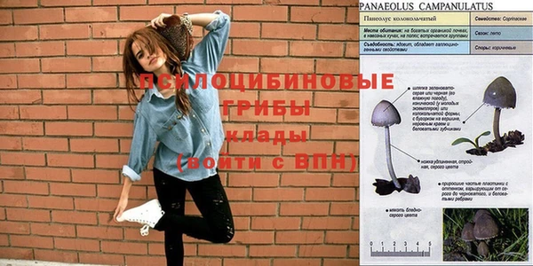 mix Аркадак