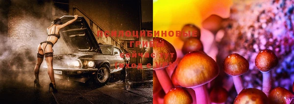 ПСИЛОЦИБИНОВЫЕ ГРИБЫ Арсеньев
